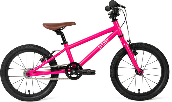 Cleary Hedgehog 16-inch 1 Speed